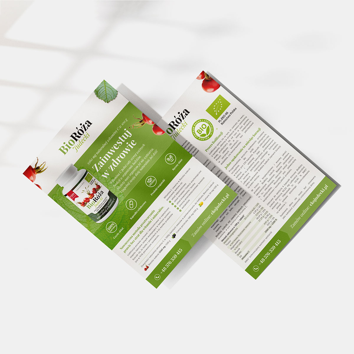 Projekt graficzny ulotki